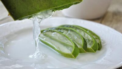 Pentingnya Validasi Ilmiah dalam Aloe Vera untuk Keamanan