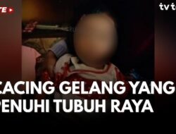 8 Jenis Cacing yang Berpotensi Menginfeksi Manusia
