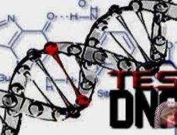 Pentingnya Tes DNA dalam Mengungkap Keturunan dan Risiko Penyakit