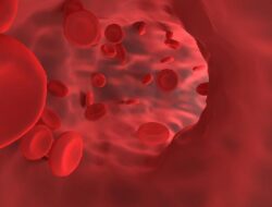 Bulan Kesadaran Kanker Darah 2025: Mengenal Multiple Myeloma