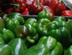 Paprika dan Ubi Jalar: Rahasia Kesehatan Mata