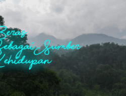 Beras Sebagai Sumber Kehidupan: Ketahanan Pangan Berkelanjutan